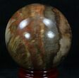 Colorful Petrified Wood Sphere #34314-2